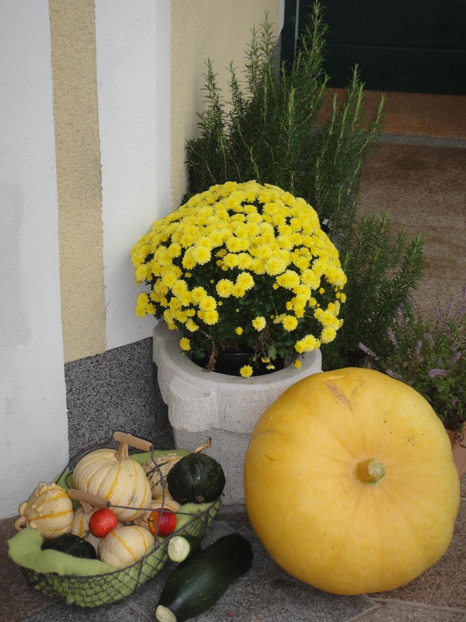 Ferienwohnung Haus Lehen Sankt Koloman Dış mekan fotoğraf