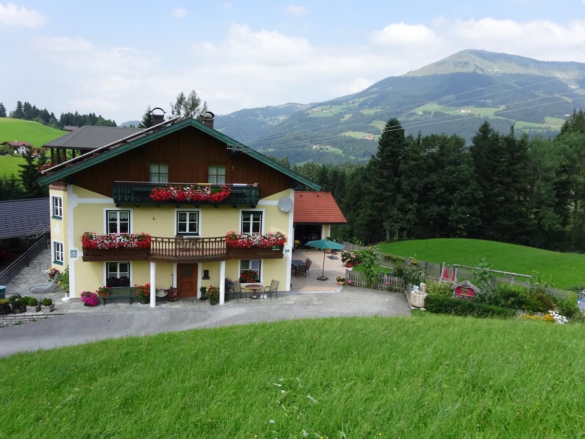 Ferienwohnung Haus Lehen Sankt Koloman Dış mekan fotoğraf