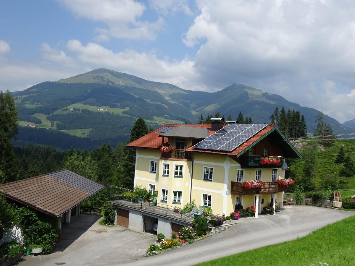 Ferienwohnung Haus Lehen Sankt Koloman Dış mekan fotoğraf