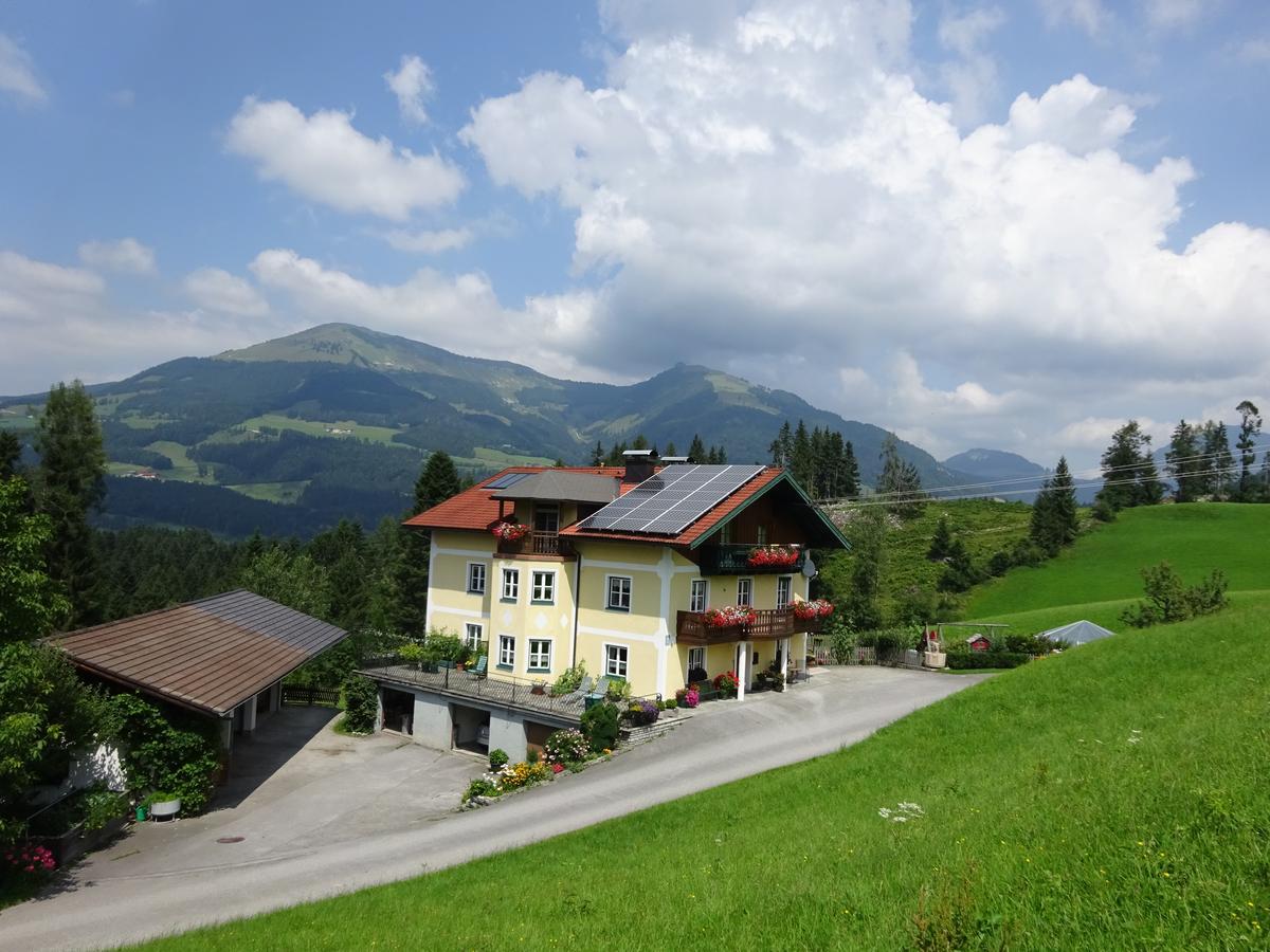 Ferienwohnung Haus Lehen Sankt Koloman Dış mekan fotoğraf