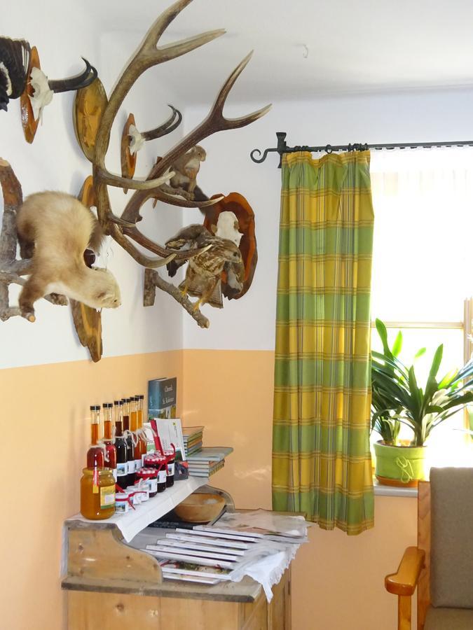 Ferienwohnung Haus Lehen Sankt Koloman Dış mekan fotoğraf
